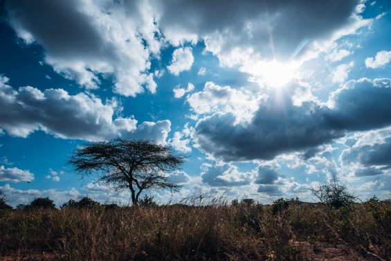eduKenya-1364