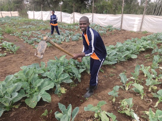 Daniel Kimanzi