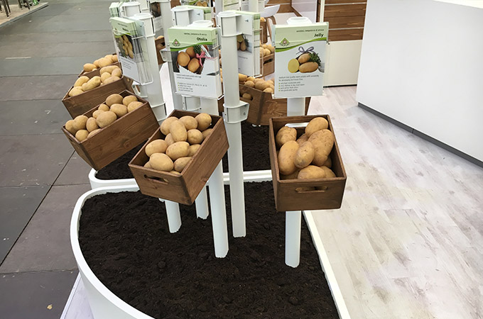 Europlant auf der Potato Europe 2019 in Belgien