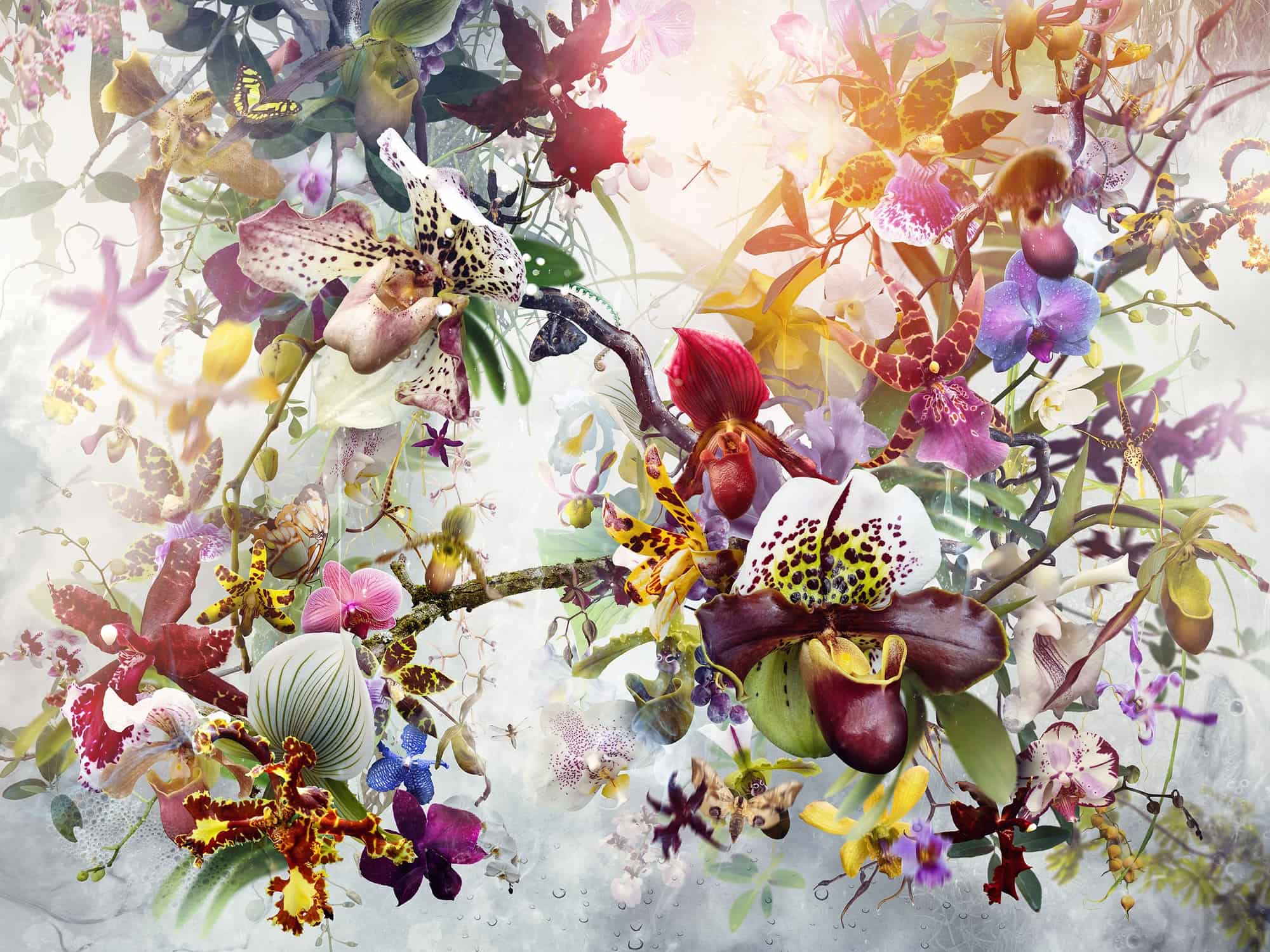 Vegas Rose Attacks Deviant Art Unlocks The Seductive Secrets Of His Deadly Plants - yen55pw