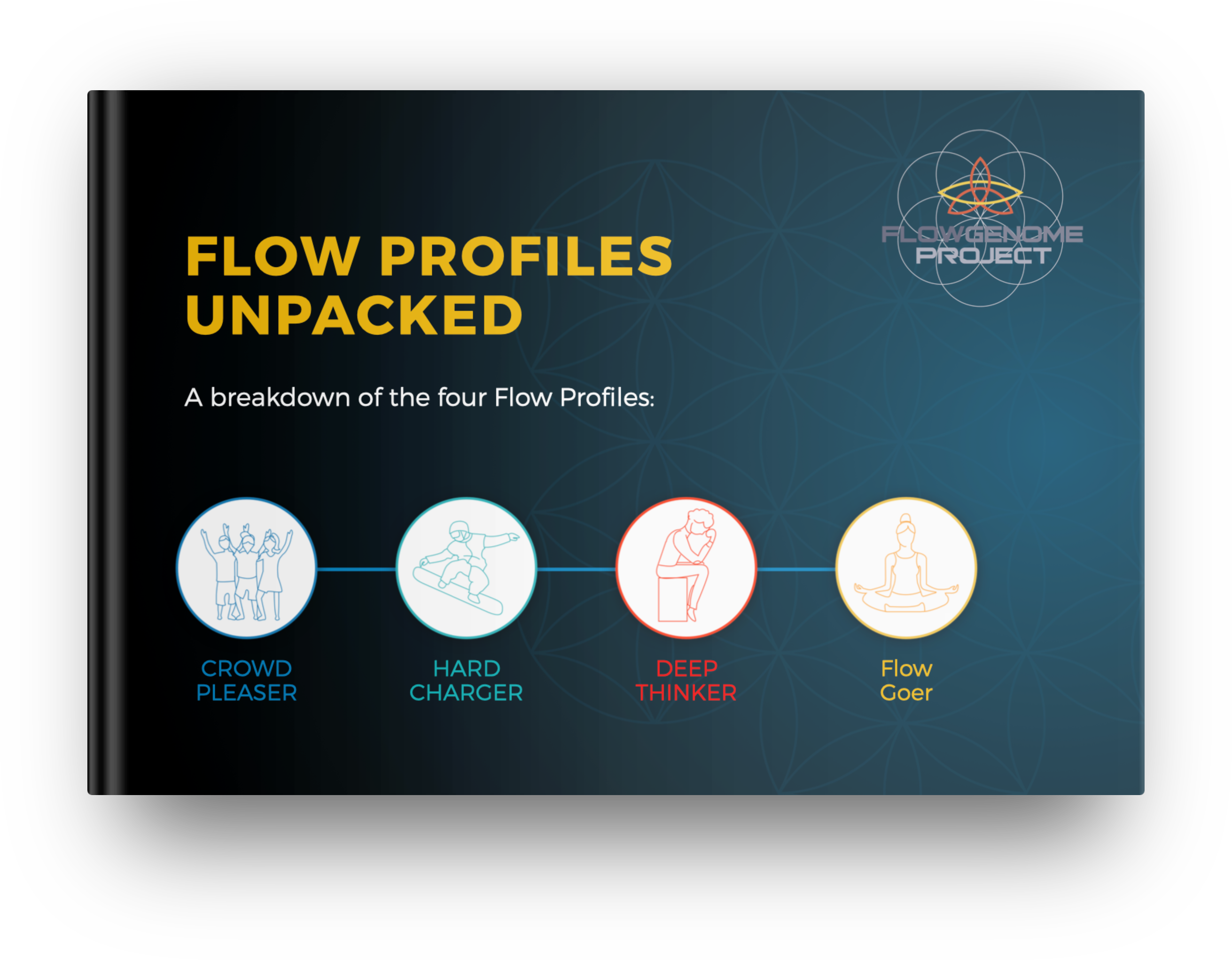 Flow Profile - Flow Goer