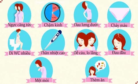 20 Dấu hiệu có thai sớm chính xác nhất sau tuần đầu tiên