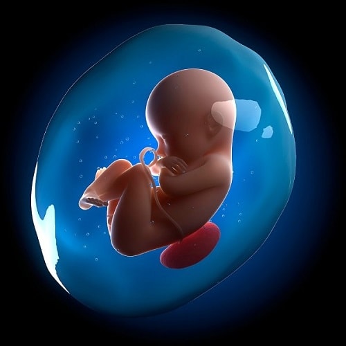 Chi phí phá thai bằng thuốc hết bao nhiêu tiền Bảng giá mới 5