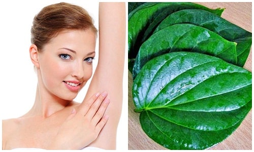 Cách chữa hôi nách an toàn triệt để hiệu quả vĩnh viễn 6