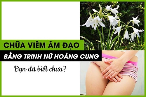 15 Cách chữa khí hư có mùi hôi ra nhiều có màu vàng xanh lạ 8
