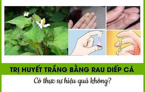 15 Cách chữa khí hư có mùi hôi ra nhiều có màu vàng xanh lạ 9