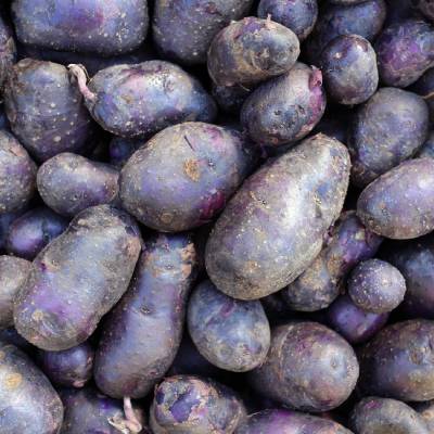 Purple Potatoes