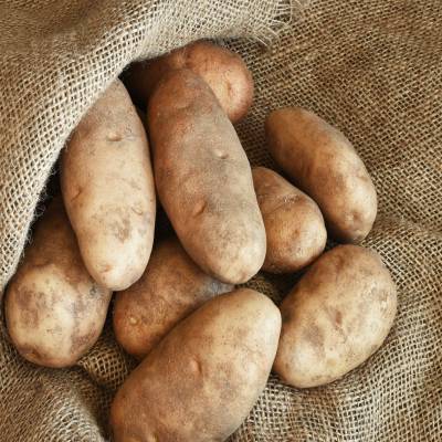 Russet Potatoes