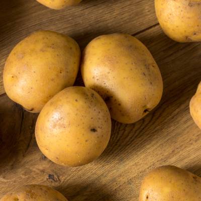 Yellow Potatoes