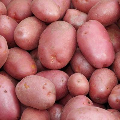 Red Potatoes