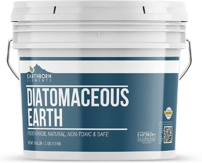 diatomaceous-earth