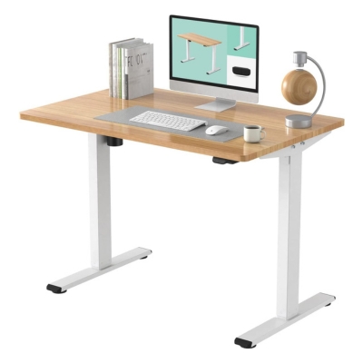 Flexispot EC1 Electric/Automatic Standing Desk