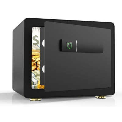YTsafeco Biometric Safe Box