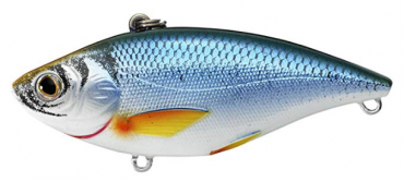 Live Target Golden Shiner Rattlebait