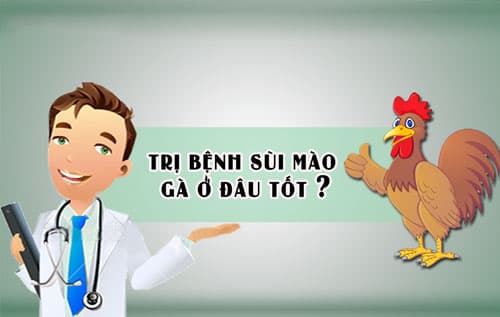 Khám sùi mào gà ở đâu?