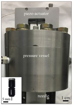 dynamic response of stack piezo actuators