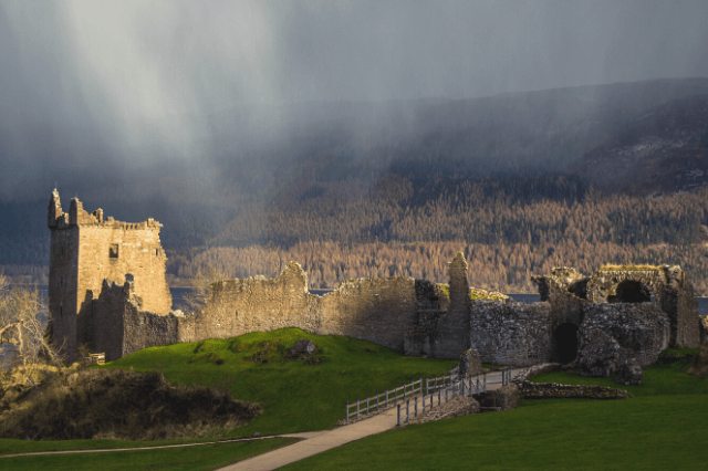 Midges in scotland
