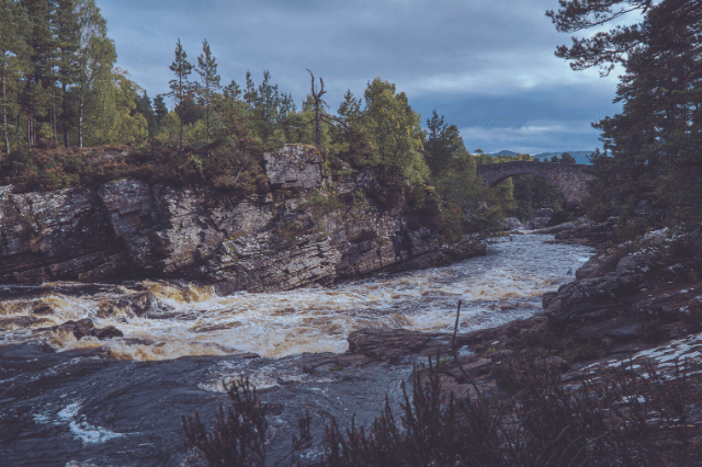Midge repellent in scotland