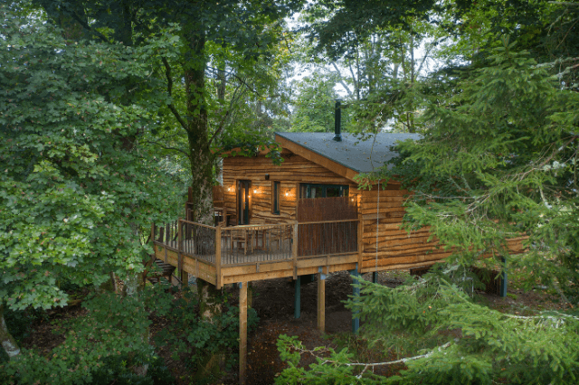 Glamping treehouses