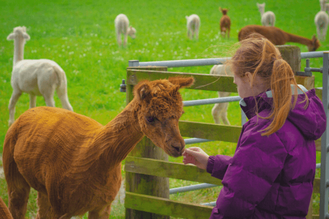 Scotland farm