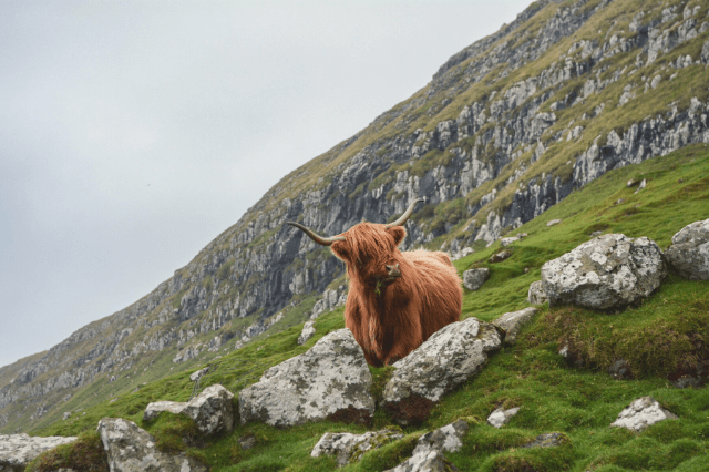 Scotland highland