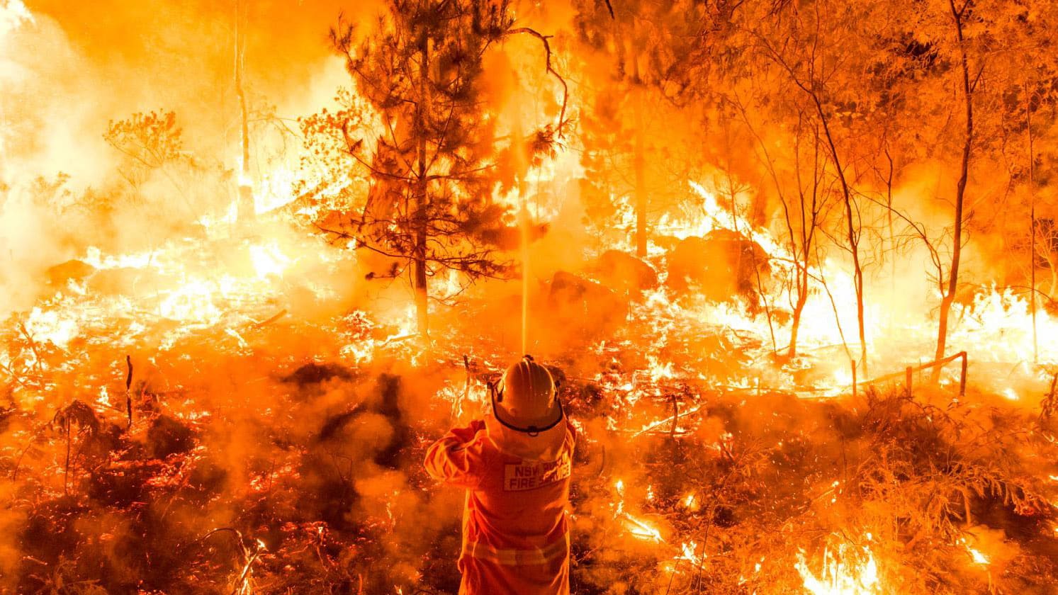 MapLauncher in The Climate Emergency Plan