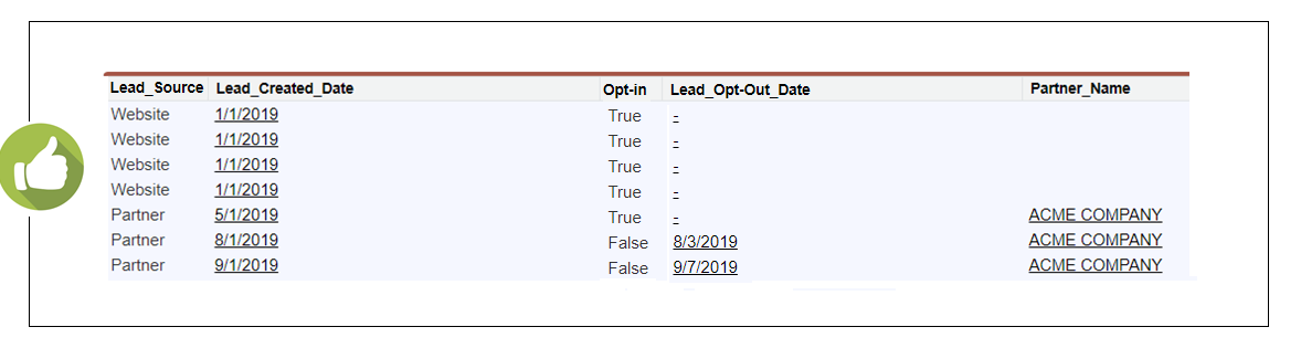 An example of additional fields storing the GDPR-related info in the lead record in SalesForce