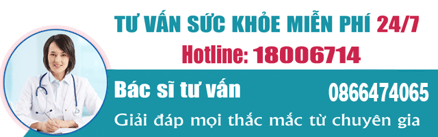 tư vấn thủ đô