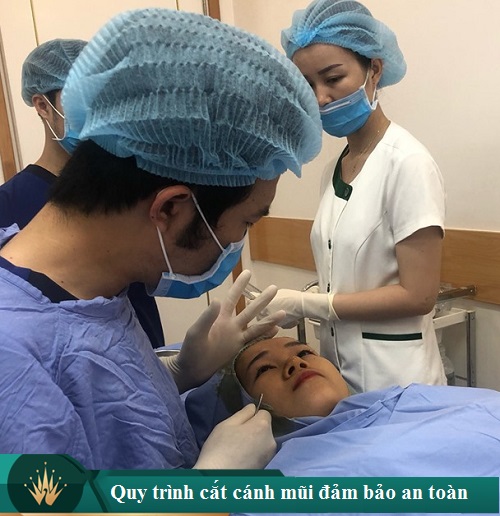 Cắt cánh mũi ở đâu đẹp ảnh hưởng bởi những điều gì? Giá cả như thế nào? 5d7f33a72383c07de793d69f_cat-canh-mui-co-hai-khong-1
