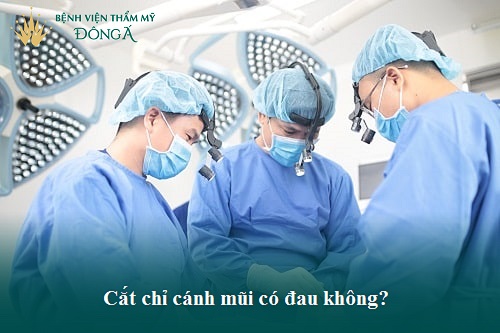 Phẫu thuật Cắt cánh mũi giá bao nhiêu tiền? Chi phí rẻ 2019 - Hình 1