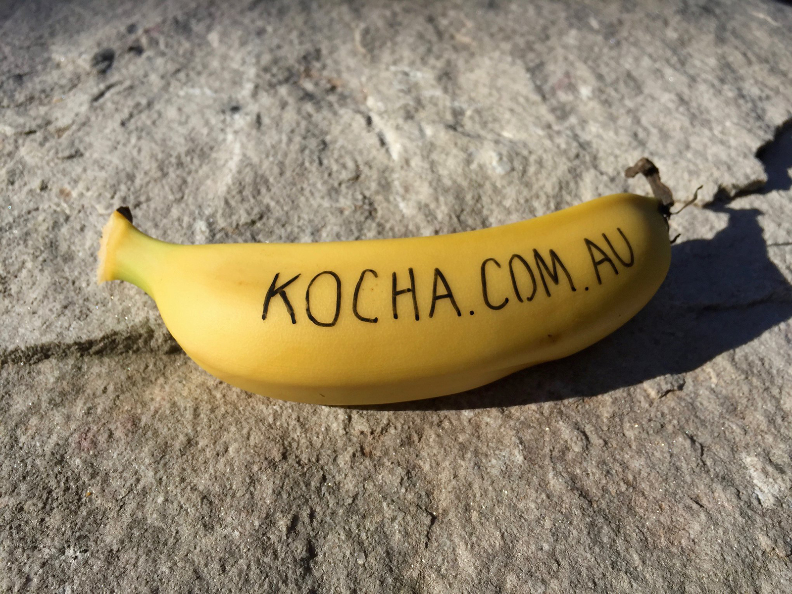 Experimental Kocha