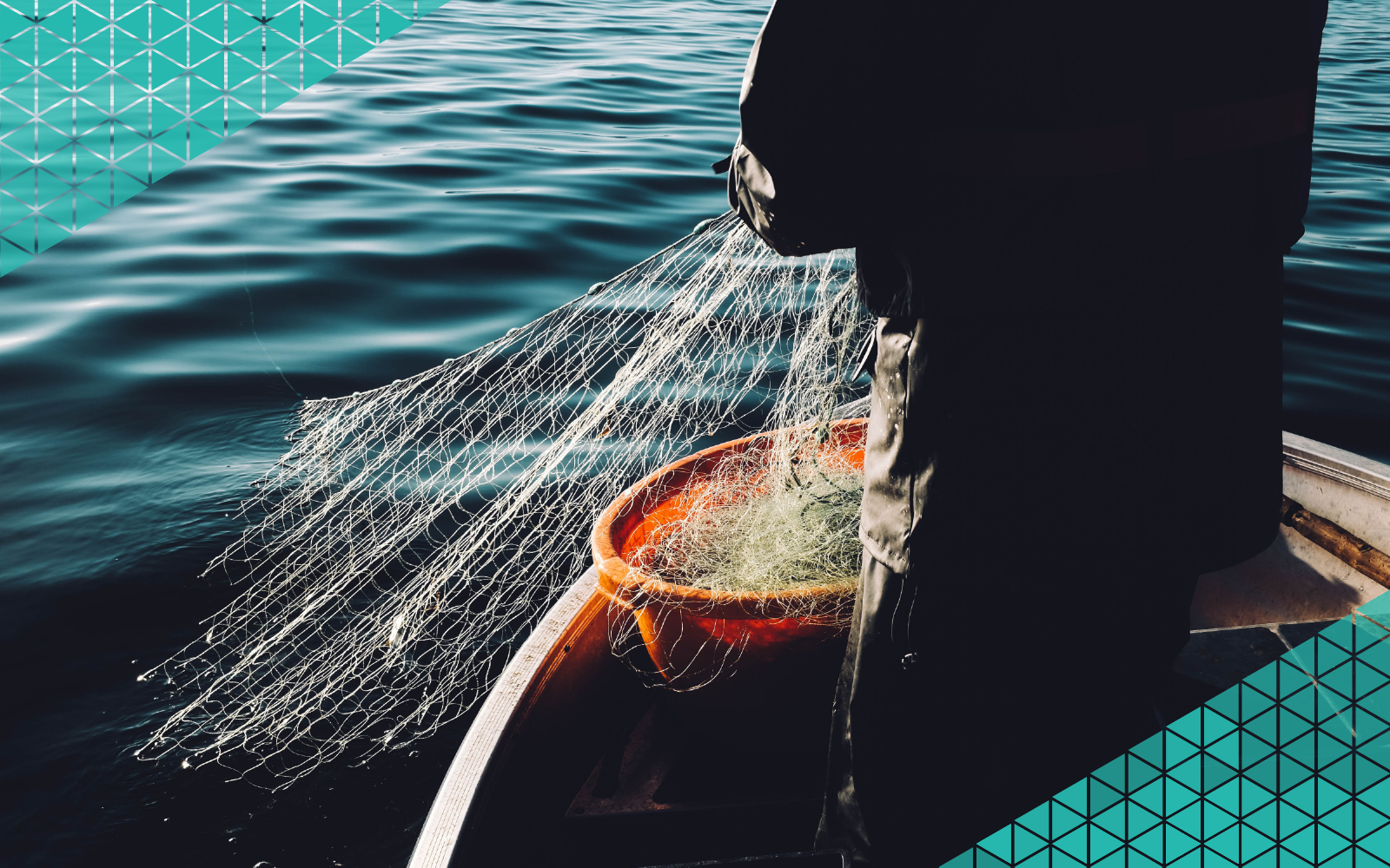 Casting a Net