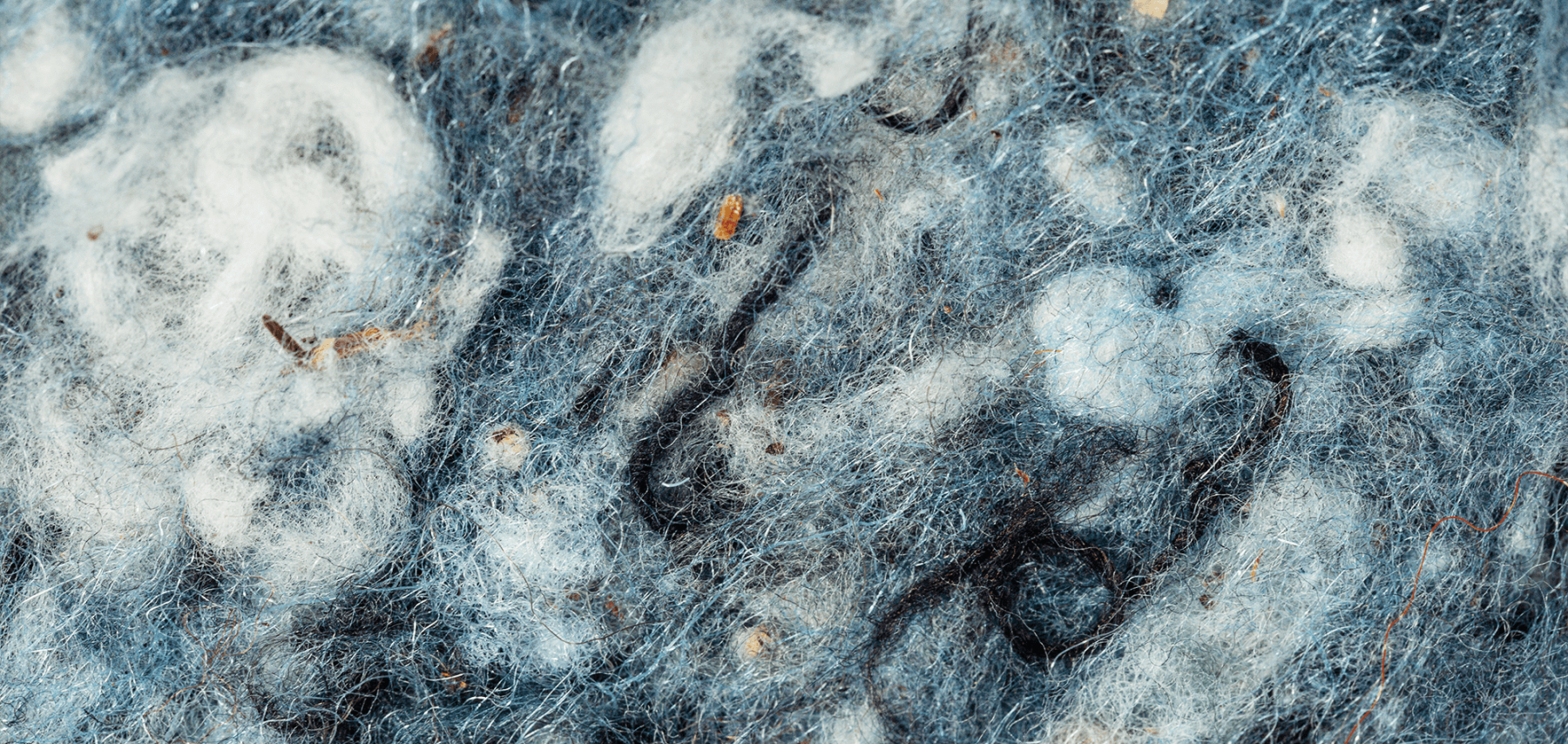 Could These Materials be the Future of Packaging?