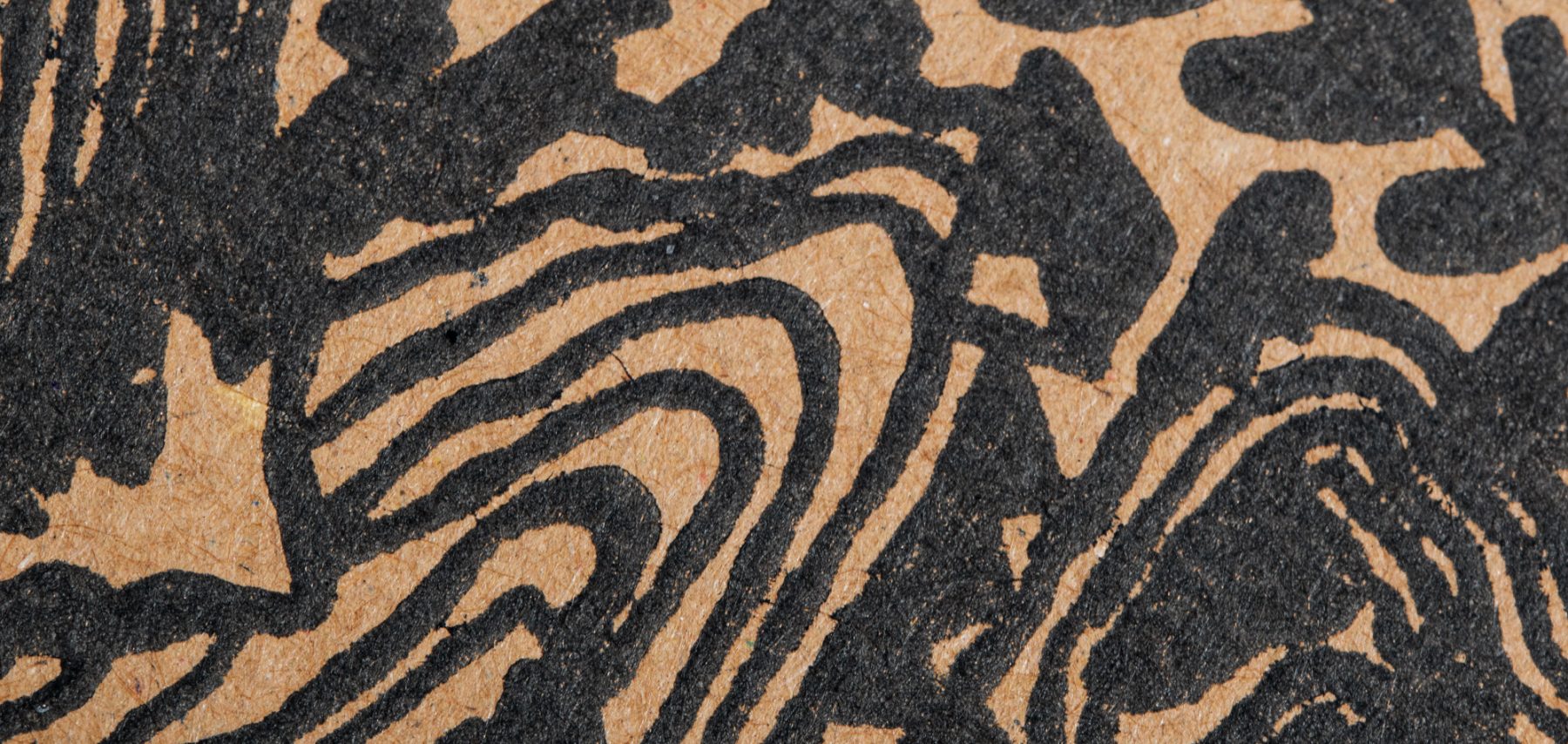 Could These Materials be the Future of Packaging?