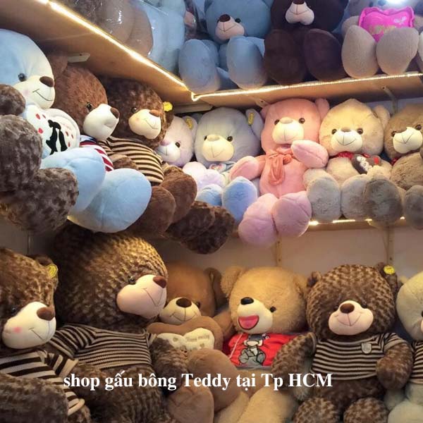 Shop gấu bông teddy Tp HCM