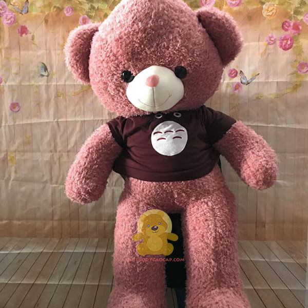 Gấu teddy 1m4 thần rừng toroto