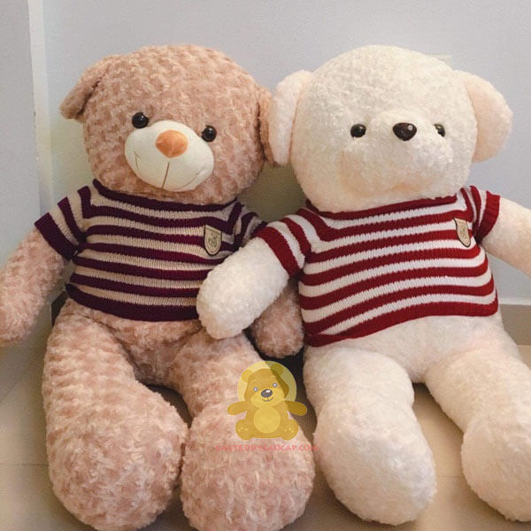 Gấu teddy 1m4 heads và tales