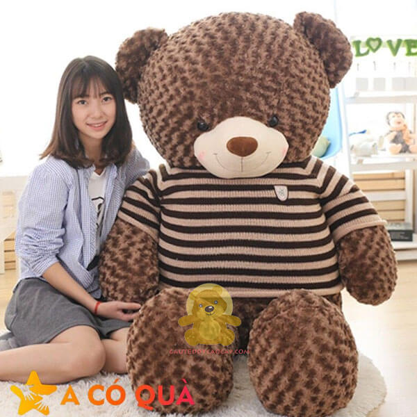 Gấu teddy 1m4 áo len