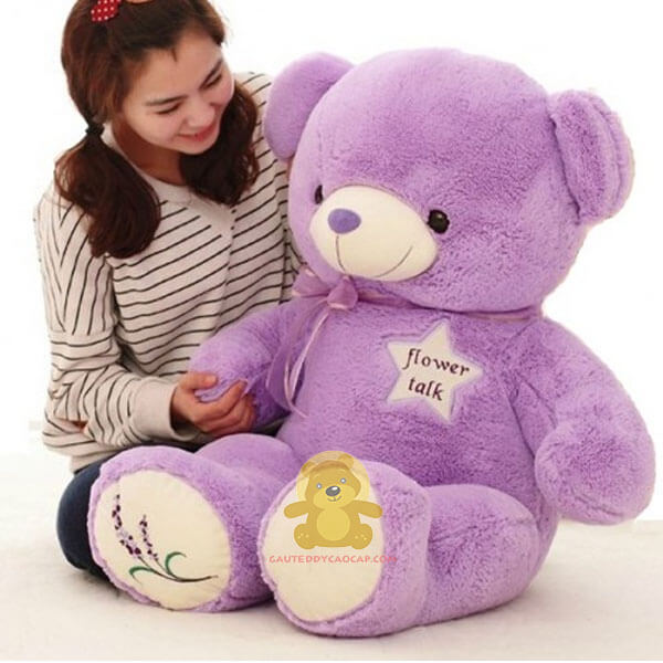 Gấu teddy 1m4 chấm chân