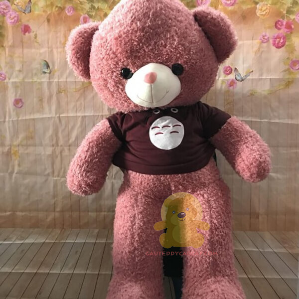 Gấu teddy 1m áo thần rừng toroto