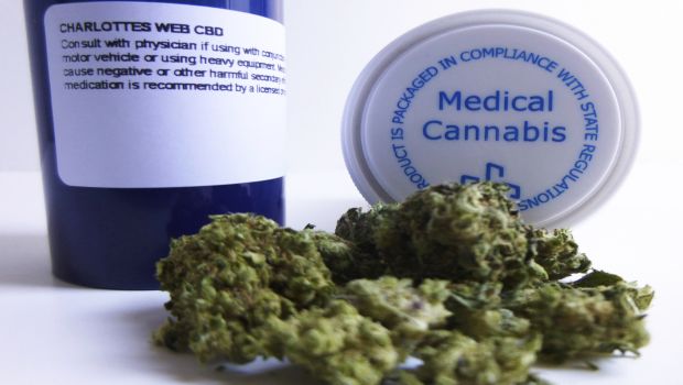 cannabis