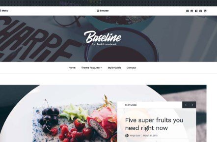 Array Themes Baseline WordPress Theme