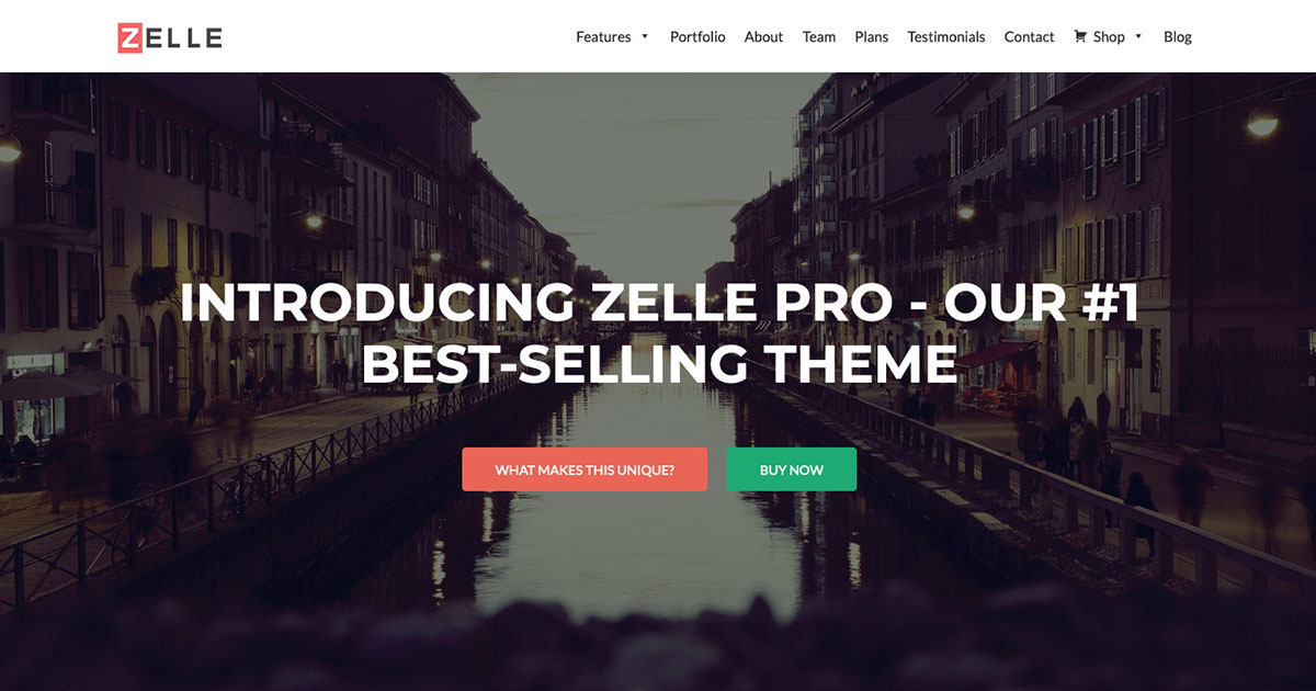 Zelle Pro (Zerif Pro)