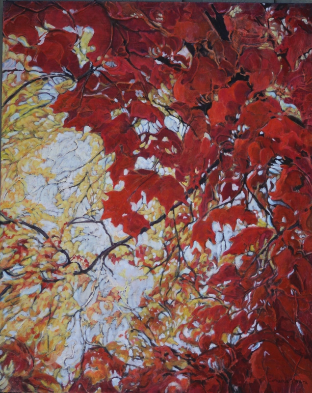 Scarlet Shade