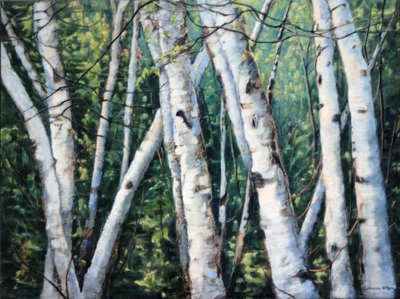 Woodland Birch