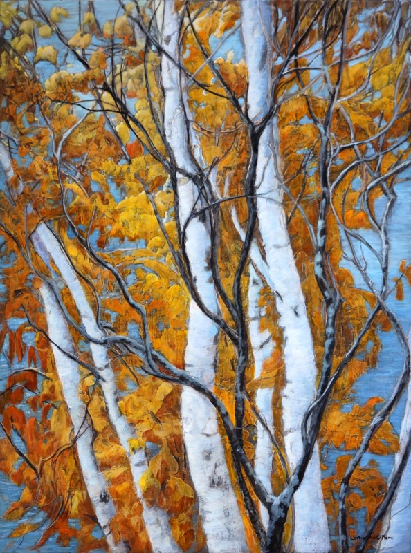 Ten Mile Bay Birch