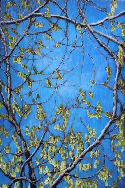 Spring green, Muskoka blue