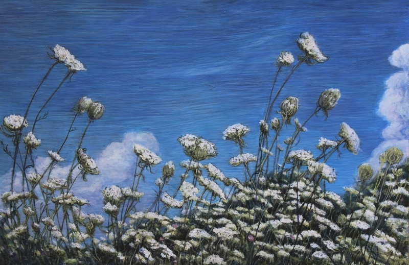 July Field