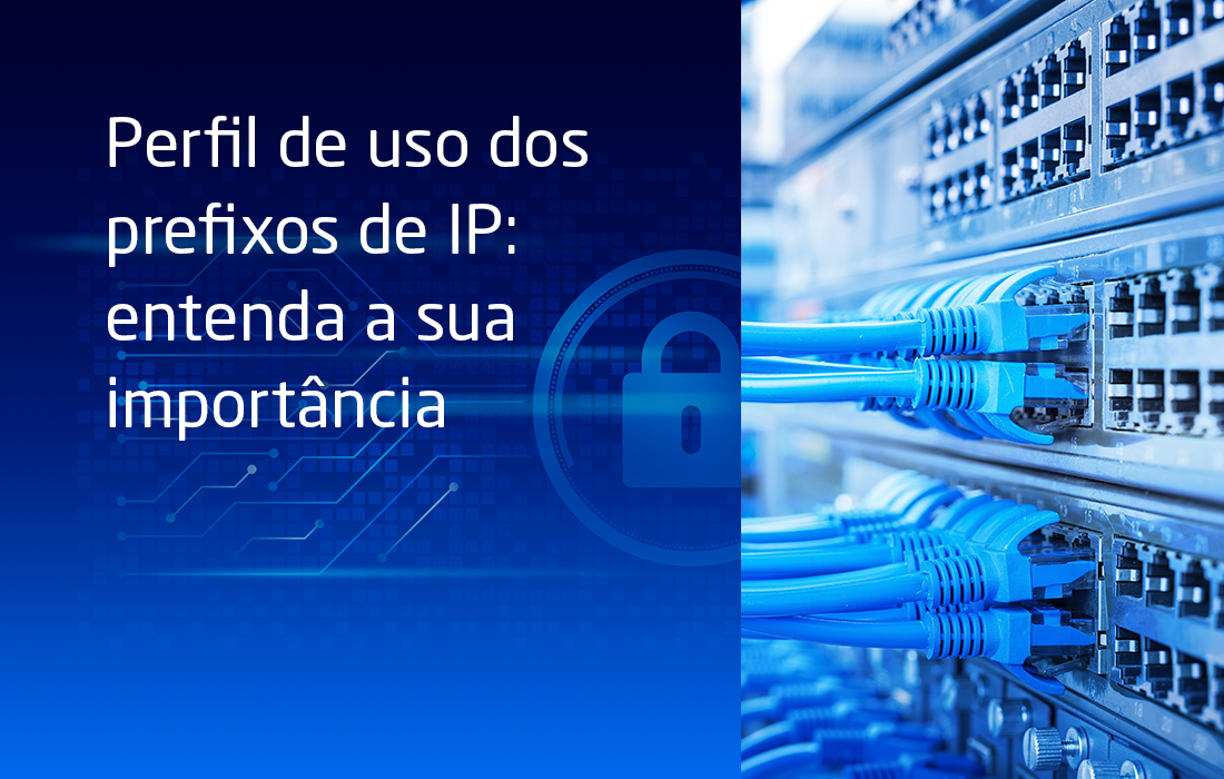 Perfil de uso dos prefixos de IP: entenda a sua importância