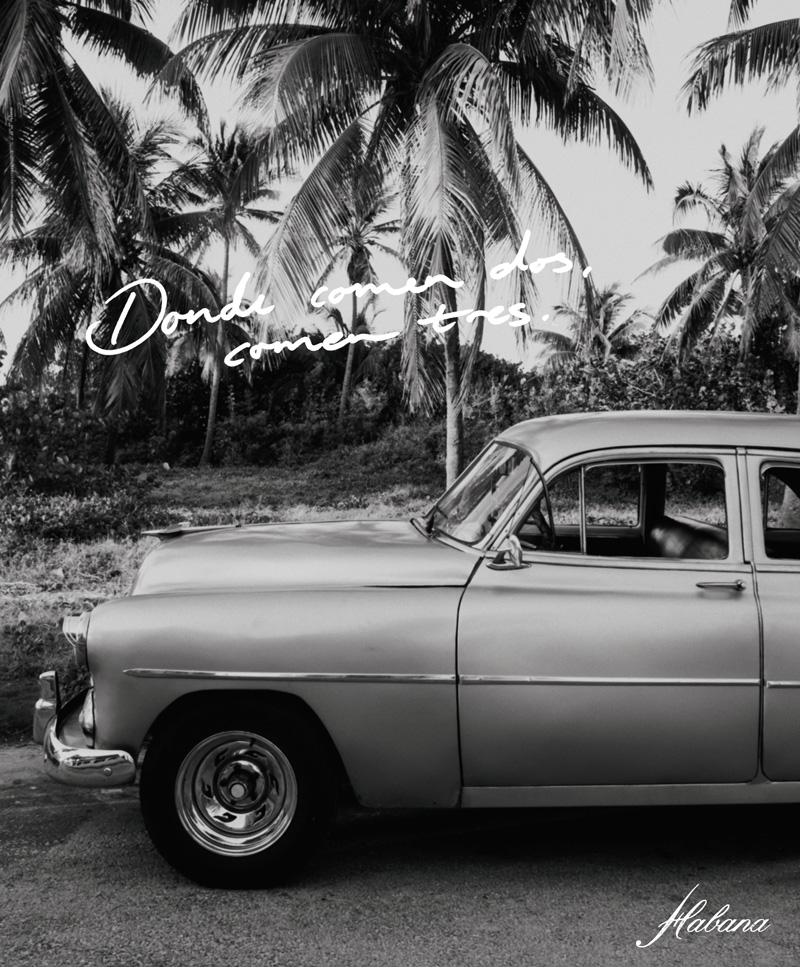 Passport Brand Design